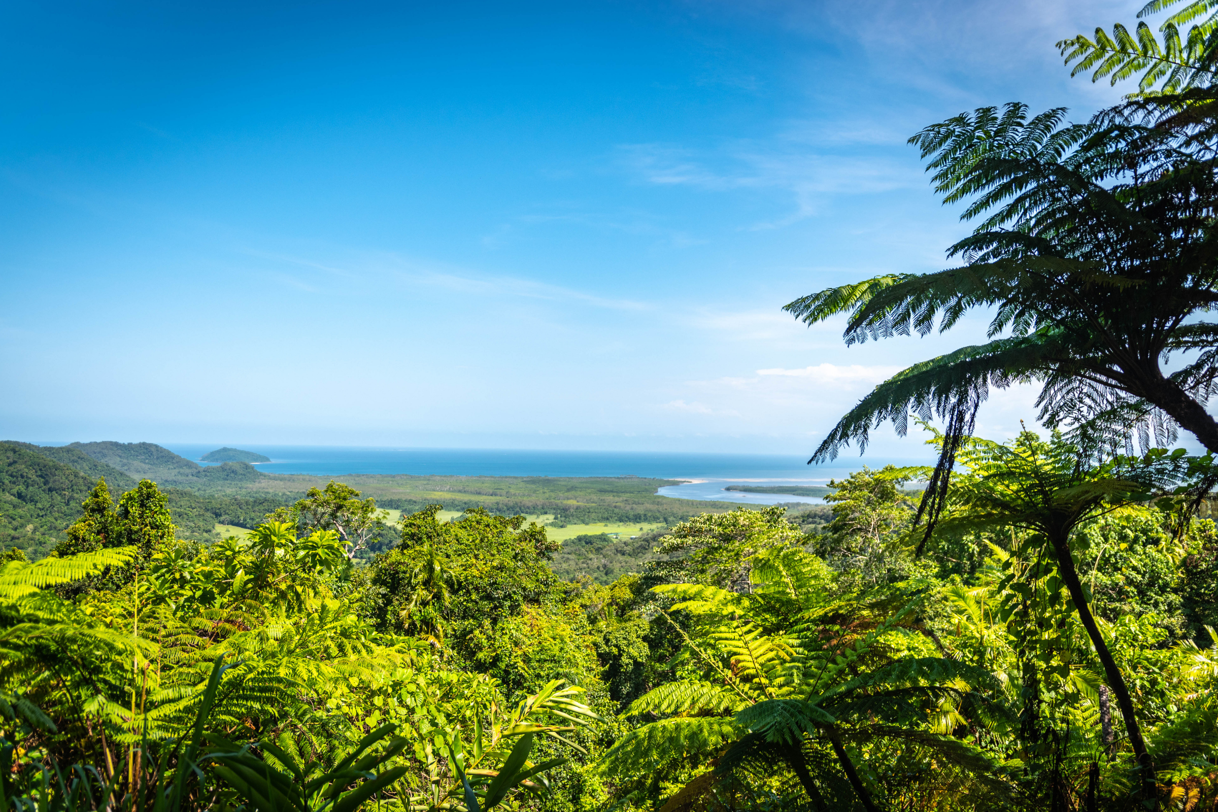 155 lizard island national park, queensland.webp